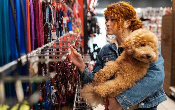 Pet Shop