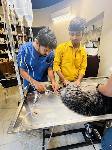 Dogs and Pups Pet Shop and Clinic