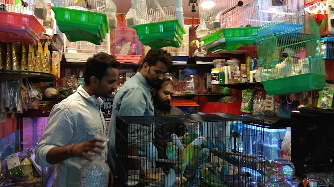 Ocean Pearls Pet Store