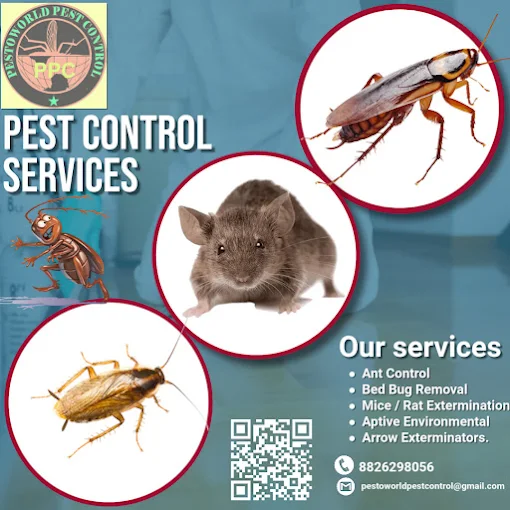 PESTOWORLD PEST CONTROL Photo