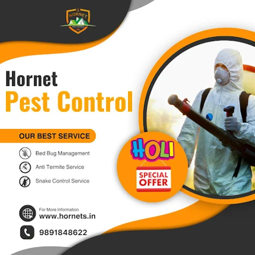 Hornet Pest Control Services Delhi