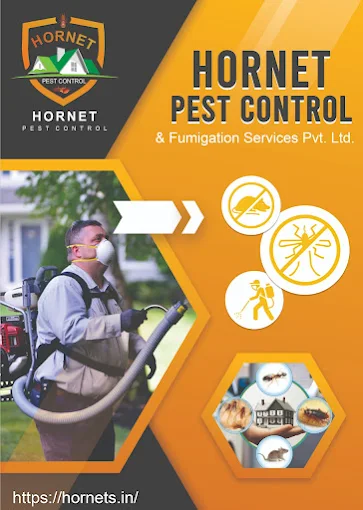 Hornet Pest Control Services Delhi