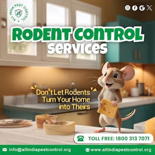 ALL INDIA PEST CONTROL