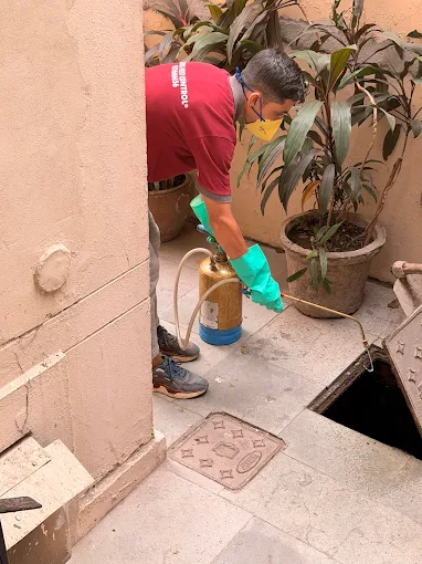 Skuas Pest Control Service
