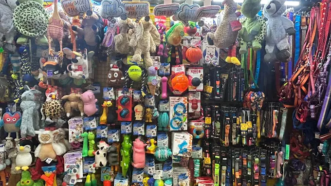 Windsor The Pet Shop