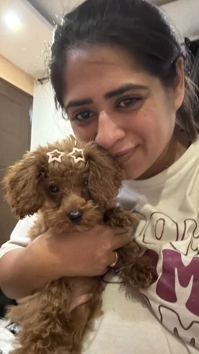 Dav Pet Lovers
