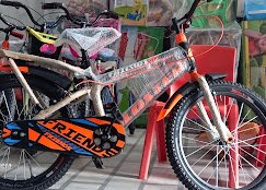 Arora cycle store