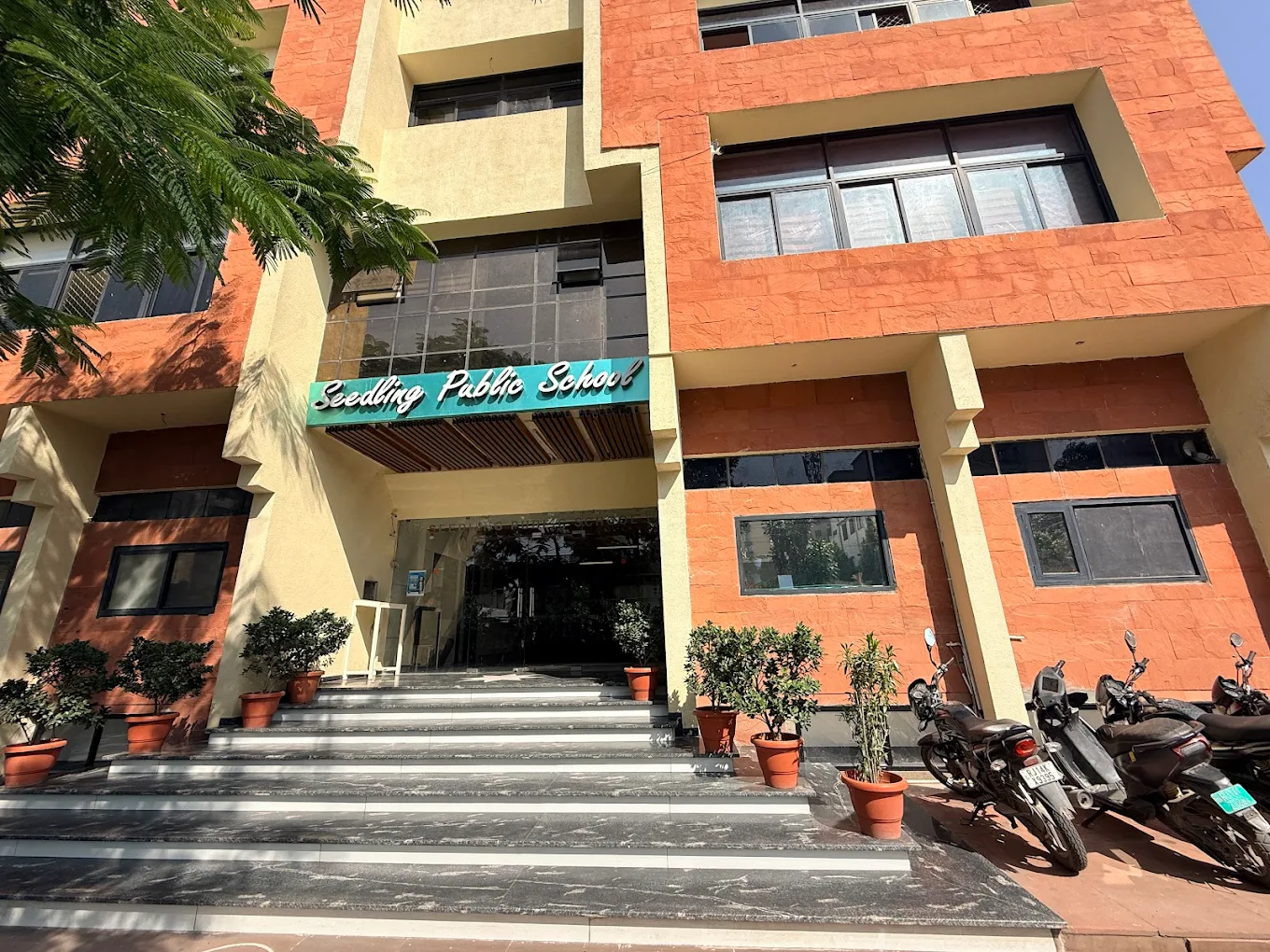 Seedling Public School