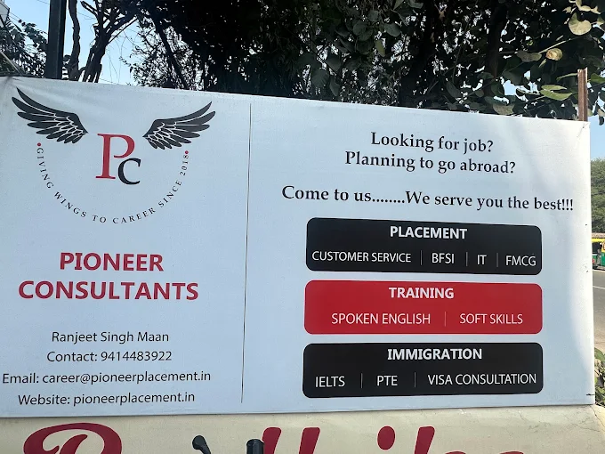 Pioneer Consultants
