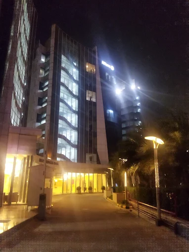 Pioneer Consultants