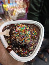 Singh Fruit Ice Cream