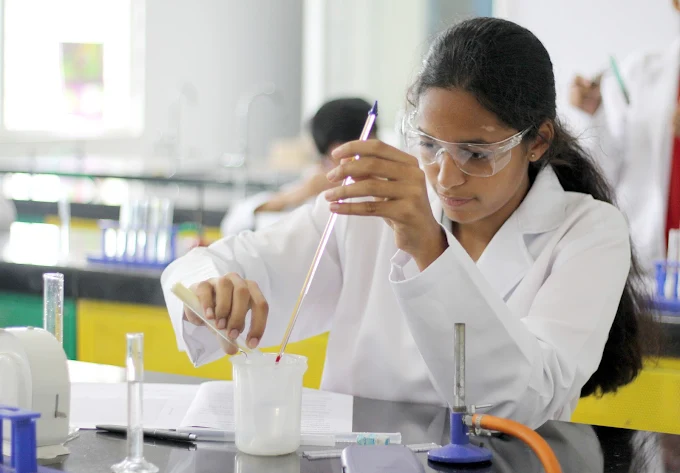 Bodhi International School