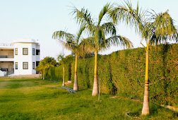 RESORT GOLDEN CAVE