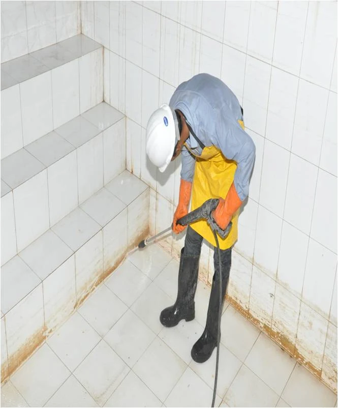 Water Tank Cleaning Service