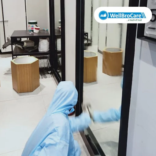 WellBro Care - Cleaning & AC Services