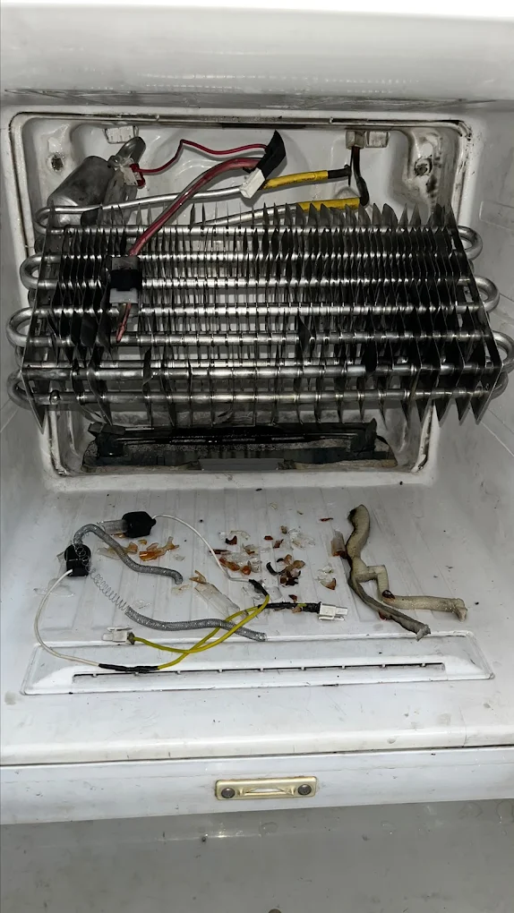 Expert Repair Refrigeration