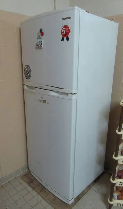 Fridge Repair and Services