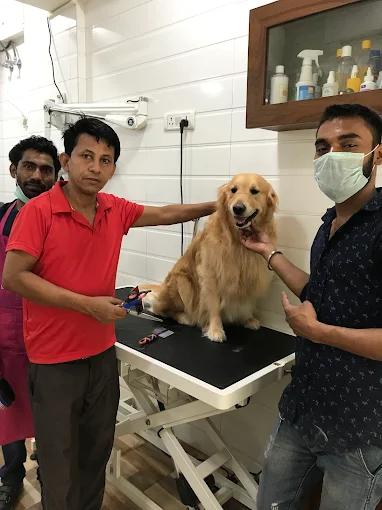 Pet Gallery