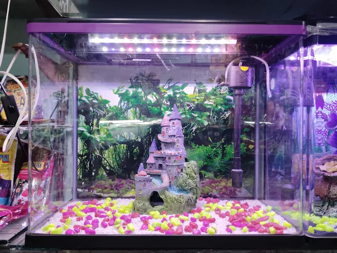 Pari Pets & Aquarium