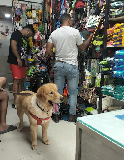 Chien N Chat Pet Shop & Spa