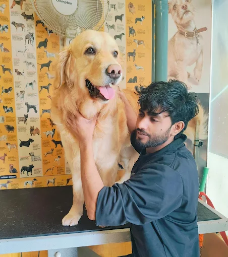 Chien N Chat Pet Shop & Spa