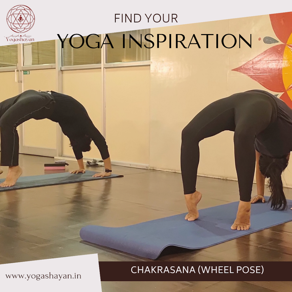 Studio Yogashayan