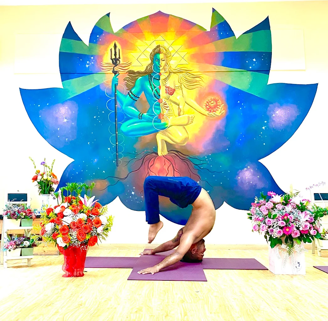 Ved Yoga Shala