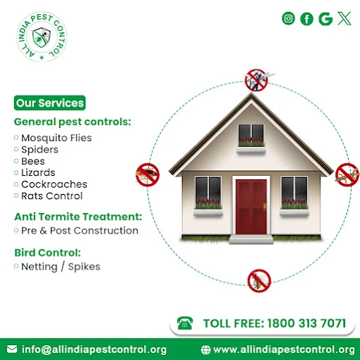 All India Pest Control