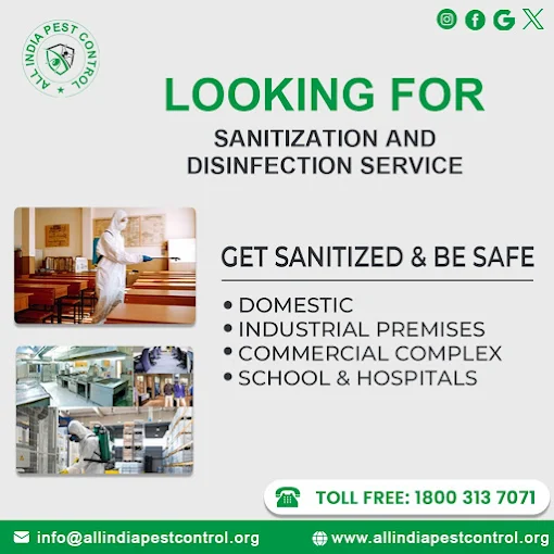 All India Pest Control