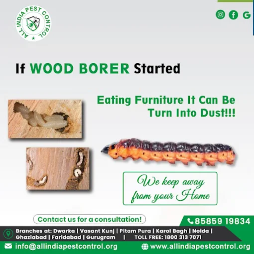 All India Pest Control