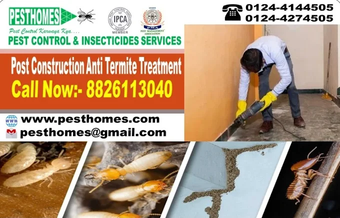 Pest Control & Insecticides Services