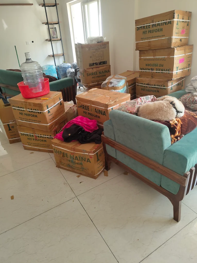Budget Logistics And Packers