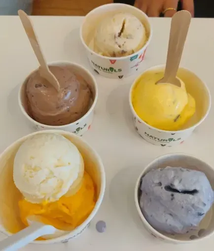 Naturals Ice Cream