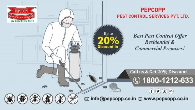 Pepcopp Pest Control Services Pvt Ltd