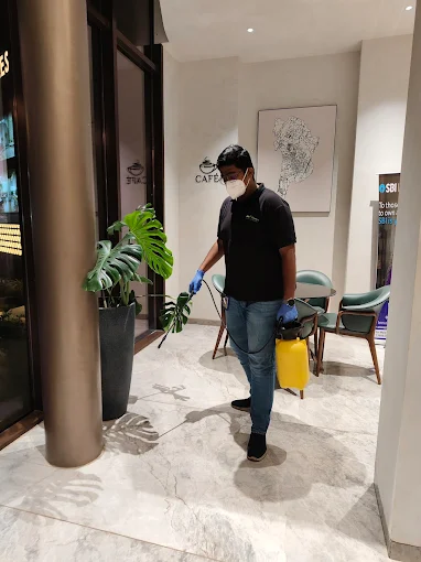 24×7 PEST PROFESSIONALS