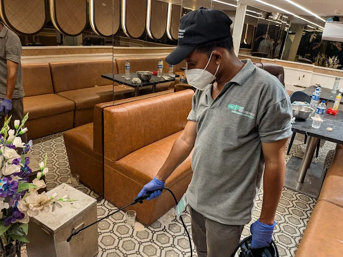 24×7 PEST PROFESSIONALS