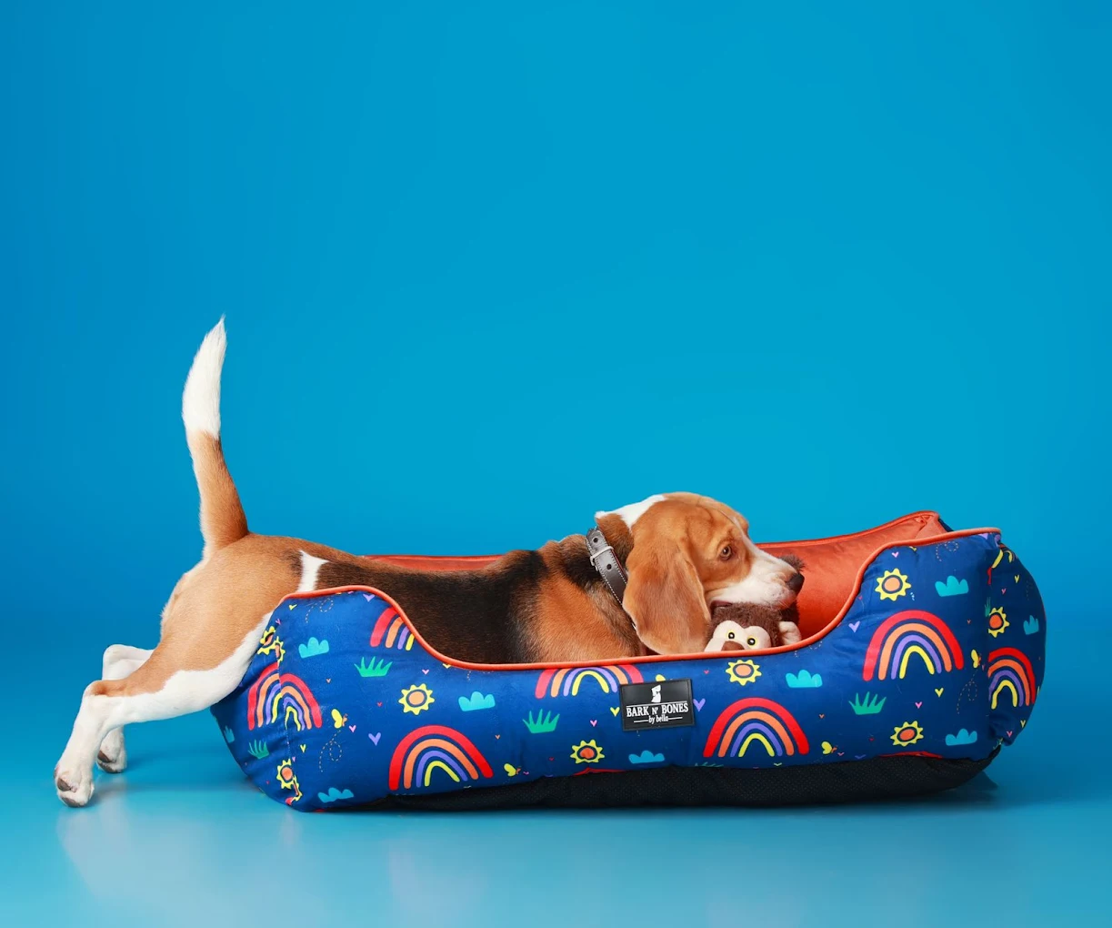 Mumbai Pet Shop
