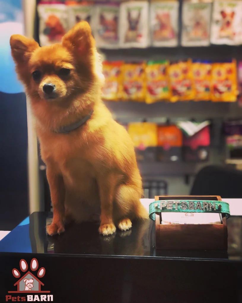 PetsBARN