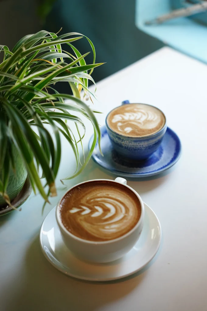 The Yoga House Studio & Cafe