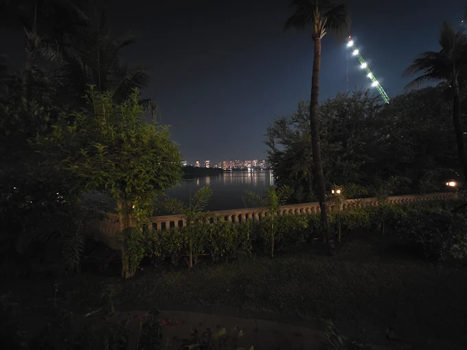 Lake View Cafe