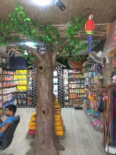 Pet Zoo