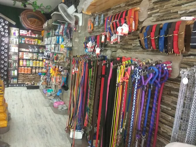 Pet Zoo