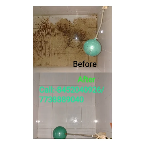Purity water tank cleaning service.