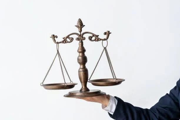 Advocate and Lawyer