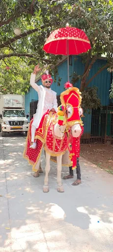 Shabbir Horse