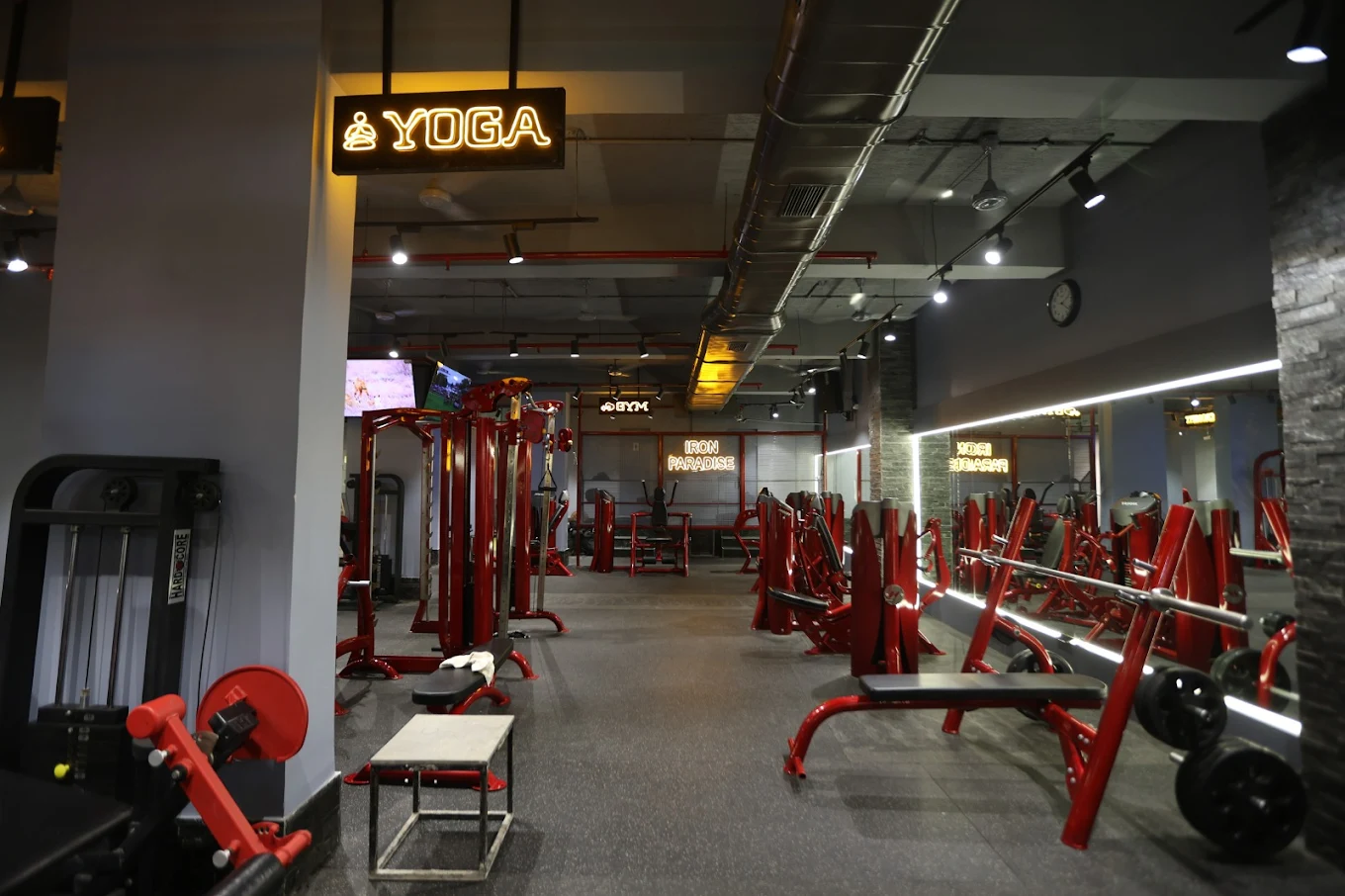 Iron Paradise: Gym