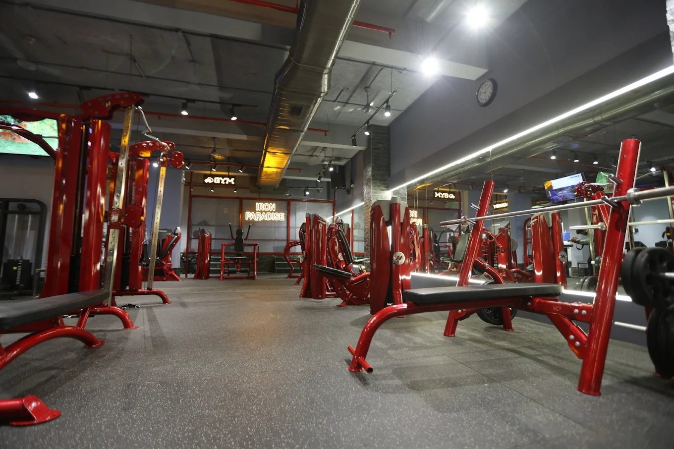 Iron Paradise: Gym