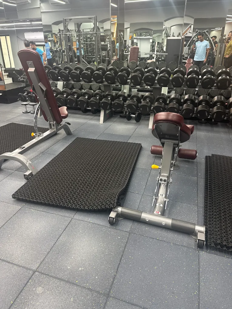 OFC Gym, Best Affordable Luxury Gym