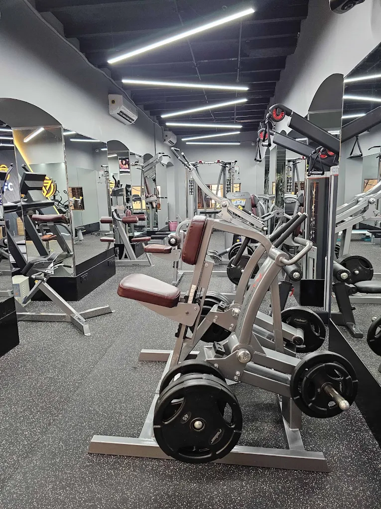 OFC Gym, Best Affordable Luxury Gym
