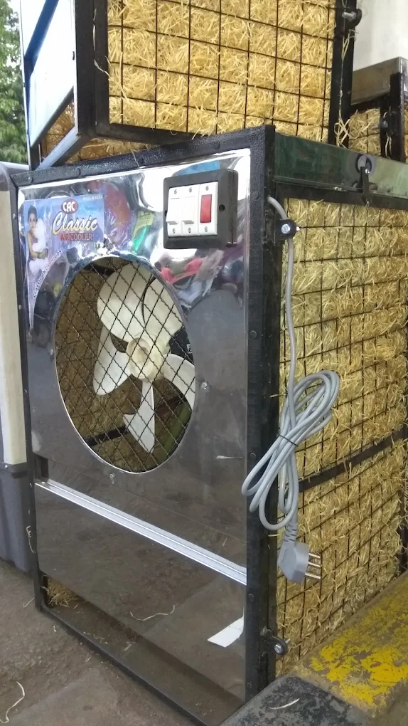 Classic hand Made Cooler